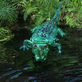 Nová PET Tropicana – fantastická tropická džungle  ve skleníku Fata Morgana